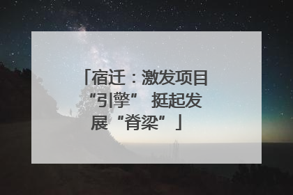 宿迁：激发项目“引擎” 挺起发展“脊梁”