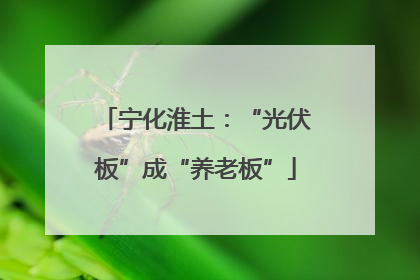 宁化淮土：“光伏板”成“养老板”