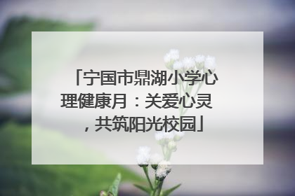 宁国市鼎湖小学心理健康月：关爱心灵，共筑阳光校园
