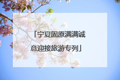 宁夏固原满满诚意迎接旅游专列
