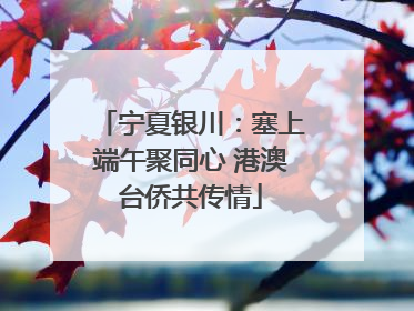 宁夏银川：塞上端午聚同心 港澳台侨共传情