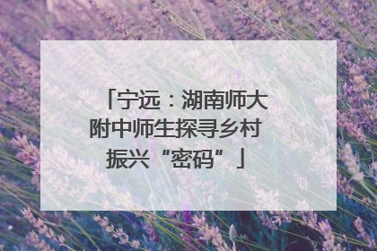 宁远：湖南师大附中师生探寻乡村振兴“密码”
