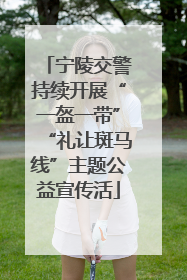宁陵交警持续开展“一盔一带”“礼让斑马线”主题公益宣传活