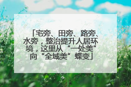 宅旁、田旁、路旁、水旁，整治提升人居环境，这里从“一处美”向“全域美”蝶变