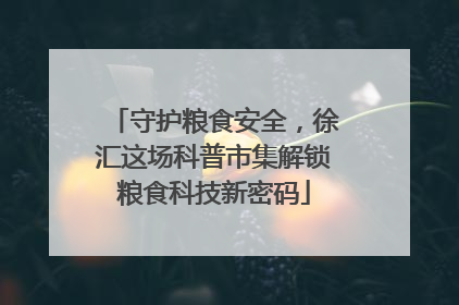 守护粮食安全，徐汇这场科普市集解锁粮食科技新密码