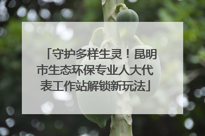 守护多样生灵！昆明市生态环保专业人大代表工作站解锁新玩法