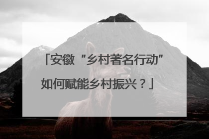 安徽“乡村著名行动”如何赋能乡村振兴？