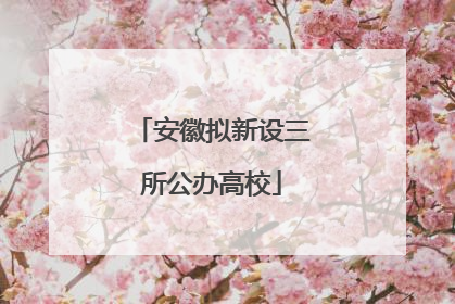 安徽拟新设三所公办高校