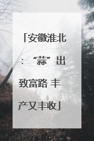 安徽淮北：“蒜”出致富路 丰产又丰收