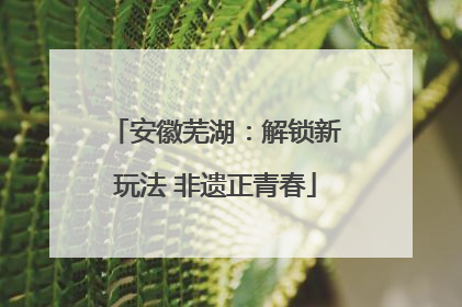 安徽芜湖：解锁新玩法 非遗正青春
