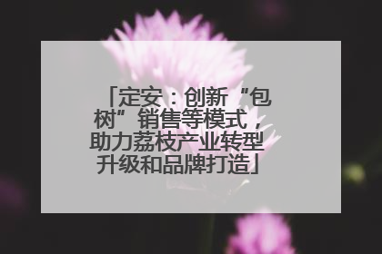 定安：创新“包树”销售等模式，助力荔枝产业转型升级和品牌打造