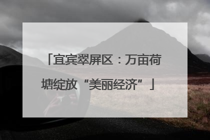 宜宾翠屏区：万亩荷塘绽放“美丽经济”