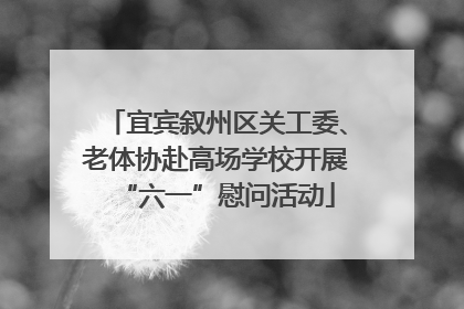 宜宾叙州区关工委、老体协赴高场学校开展“六一”慰问活动