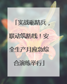实战砺精兵，联动筑防线！安全生产月应急综合演练举行