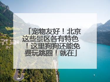 宠物友好！北京这些景区各有特色！这里狗狗还能免费玩跳圈！就在