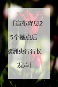 宣布降息25个基点后 欧洲央行行长发声