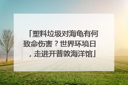 塑料垃圾对海龟有何致命伤害？世界环境日，走进开普敦海洋馆