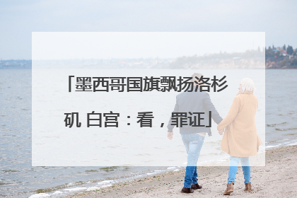 墨西哥国旗飘扬洛杉矶 白宫：看，罪证