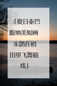 夏日秦巴腹地美如画 朱鹮在稻田里飞舞嬉戏