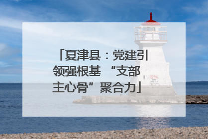 夏津县：党建引领强根基 “支部主心骨”聚合力