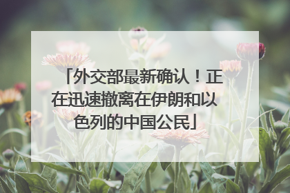 外交部最新确认！正在迅速撤离在伊朗和以色列的中国公民