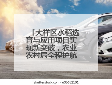 大祥区水稻选育与应用项目实现新突破，农业农村局全程护航成果斐然