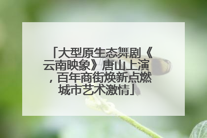 大型原生态舞剧《云南映象》唐山上演，百年商街焕新点燃城市艺术激情