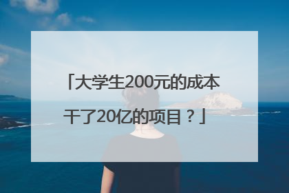 大学生200元的成本干了20亿的项目？