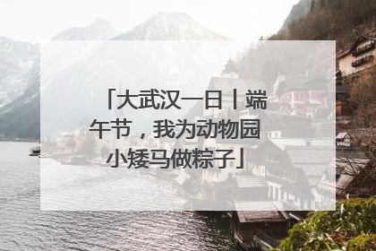 大武汉一日丨端午节，我为动物园小矮马做粽子