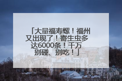 大量福寿螺！福州又出现了！寄生虫多达6000条！千万别碰、别吃！