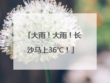 大雨！大雨！长沙马上36℃！