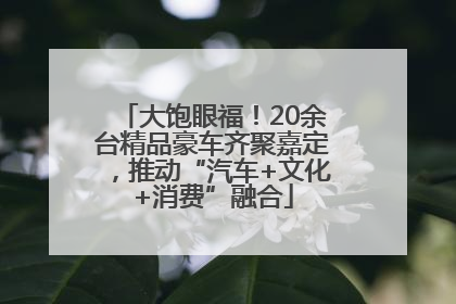 大饱眼福！20余台精品豪车齐聚嘉定，推动“汽车+文化+消费”融合