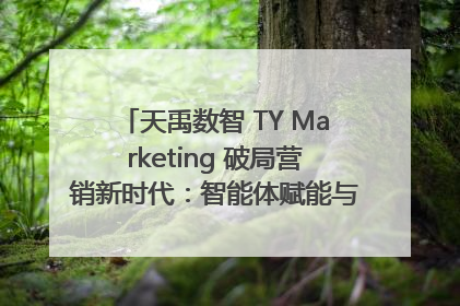 天禹数智 TY Marketing 破局营销新时代：智能体赋能与人才培育双轮驱动