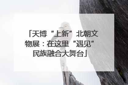 天博“上新”北朝文物展：在这里“遇见”民族融合大舞台