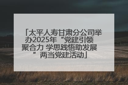 太平人寿甘肃分公司举办2025年“党建引领聚合力 学思践悟助发展”两当党建活动