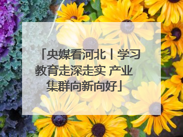 央媒看河北丨学习教育走深走实 产业集群向新向好