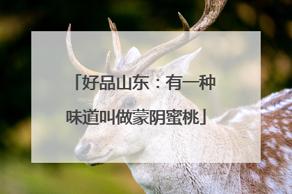 好品山东：有一种味道叫做蒙阴蜜桃