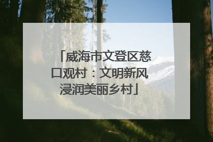 威海市文登区慈口观村：文明新风浸润美丽乡村