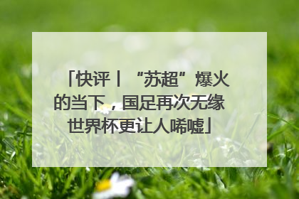 快评丨“苏超”爆火的当下，国足再次无缘世界杯更让人唏嘘