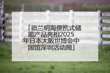 德兰明海便携式储能产品亮相2025年日本大阪世博会中国馆深圳活动周
