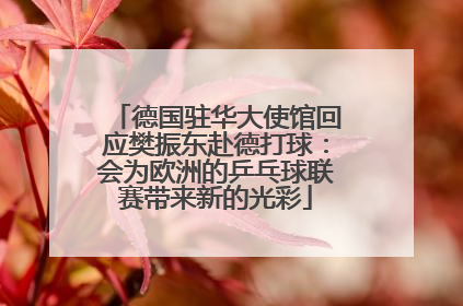 德国驻华大使馆回应樊振东赴德打球：会为欧洲的乒乓球联赛带来新的光彩
