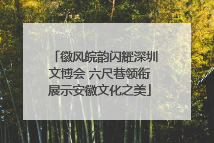 徽风皖韵闪耀深圳文博会 六尺巷领衔展示安徽文化之美