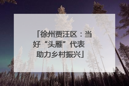 徐州贾汪区：当好“头雁”代表 助力乡村振兴