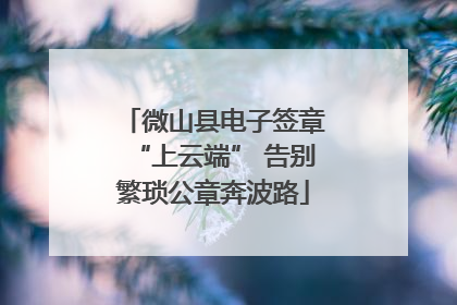 微山县电子签章“上云端” 告别繁琐公章奔波路