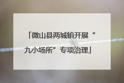 微山县两城镇开展“九小场所”专项治理