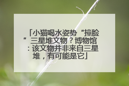 小猫喝水姿势“撞脸”三星堆文物？博物馆：该文物并非来自三星堆，有可能是它