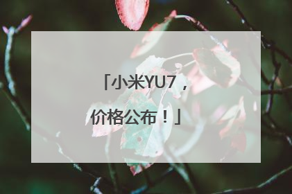 小米YU7，价格公布！
