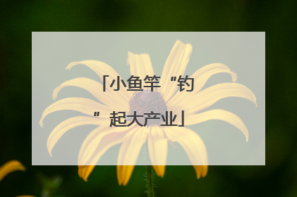 小鱼竿“钓”起大产业
