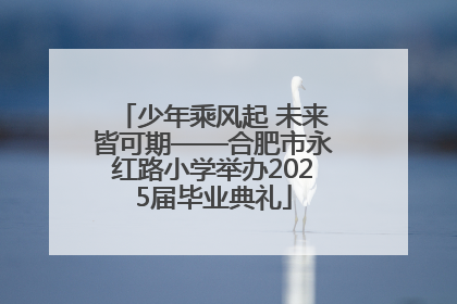 少年乘风起 未来皆可期——合肥市永红路小学举办2025届毕业典礼