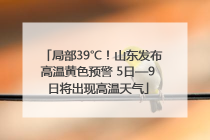 局部39℃！山东发布高温黄色预警 5日—9日将出现高温天气